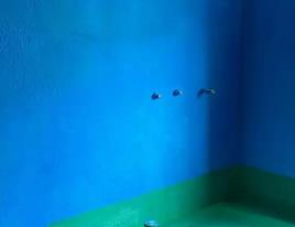 临安卫生间测漏水多少钱